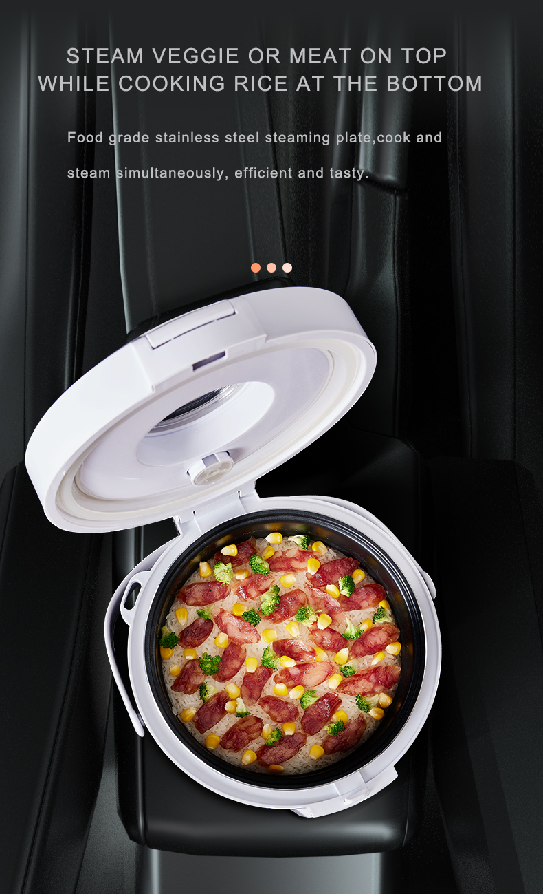 24V Rice Cooker  Truck Soup St - đánh giá và giá Camping Cooking Rice